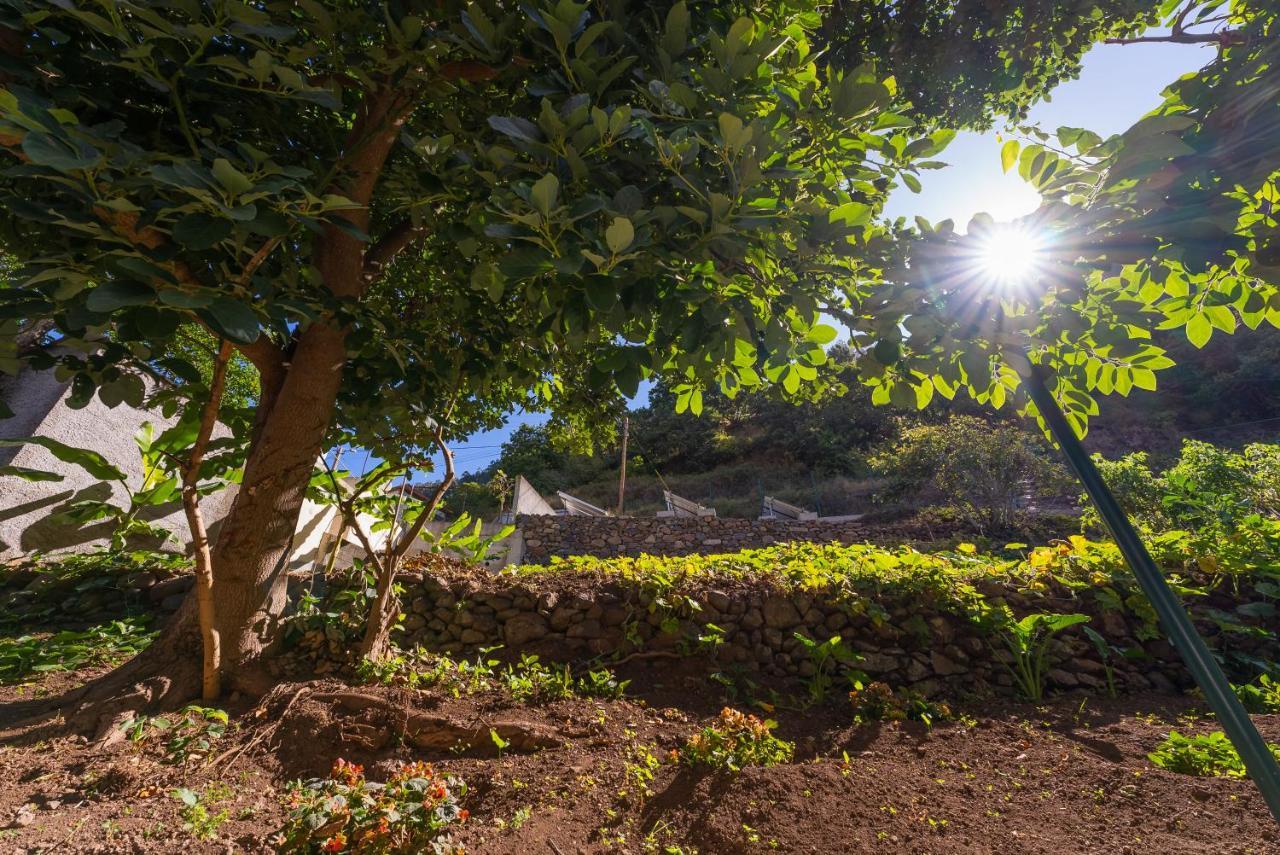 Solar Dos Reis By An Island Apart ريبيرا برافا المظهر الخارجي الصورة